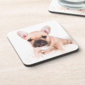 フレンチ・ブルドッグ コースター (左側)