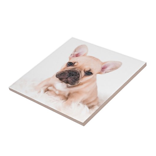 フレンチ・ブルドッグ タイル (側面)