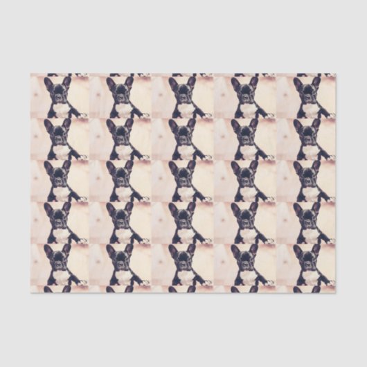 フレンチ・ブルドッグ 薄葉紙 (正面)