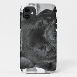 フレンチ・ブルドッグ iPhone 11 ケース