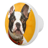 フレンチ・ブルドッグ- Frenchie犬 セラミックノブ (右)