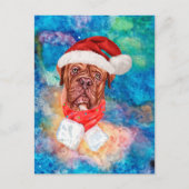 フレンチ・マスティフ犬のクリスマス シーズンポストカード (正面)