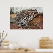 フレンドまたはカエル ポスター (キッチン)