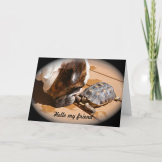 フレンドカードのお使い カード