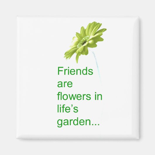 フレンドシップマグネット マグネット (正面)