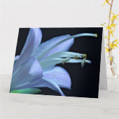 フレンドシップ – 美しいマクロホスタフラワーフォト カード (黄色い花)