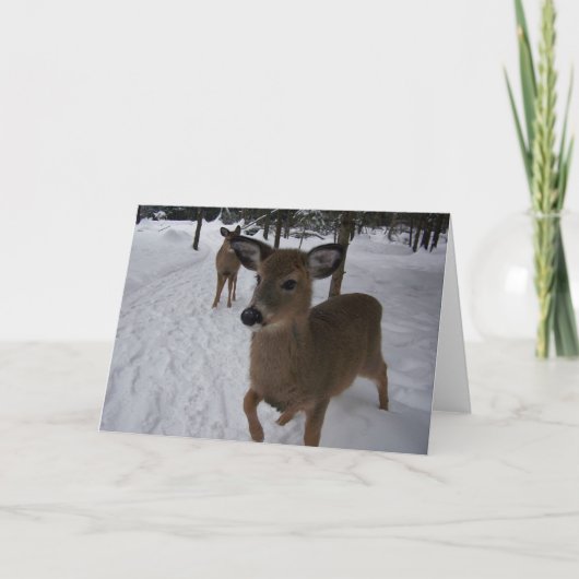 フレンドリーなシカ カード (正面)