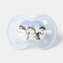 フレンドリーなハスキーはベビーの調停者の後をつけます