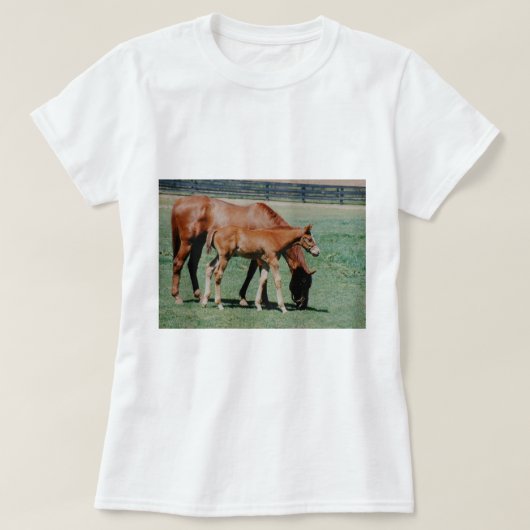 フレンドリーな馬 Tシャツ (デザイン正面)