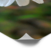 フレンドリーデイジー ポスター (角)