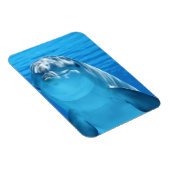 フレンドリードルフィン写真 マグネット (右側)