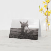 フレンドリーロバ – ヴィンテージ写真 カード (黄色い花)