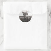 フレンドリーロバ – ヴィンテージ写真 ラウンドシール (バッグ)