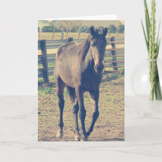 フレンドリー馬 カード (正面)