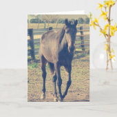 フレンドリー馬 カード (黄色い花)