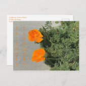 フレンドリー2月!ポストカード ポストカード (正面/裏面)