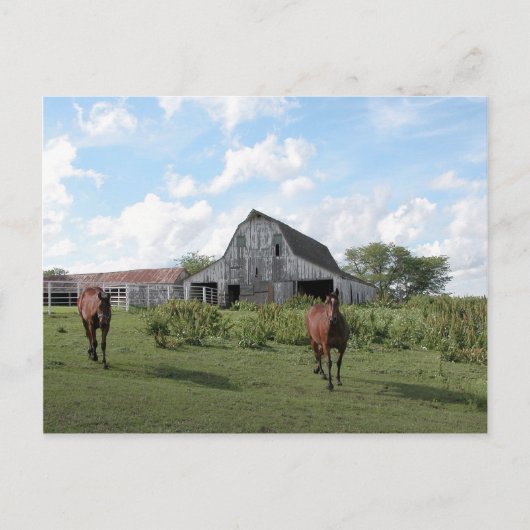 フレンドリー ウェルカム ポストカード (正面)