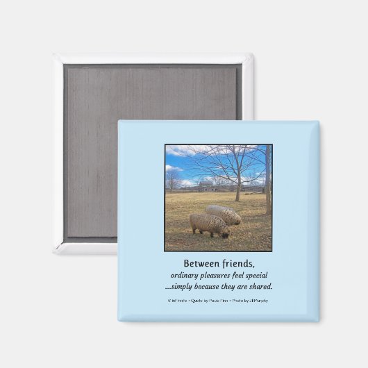 フレンド間… マグネット (正面/裏面)