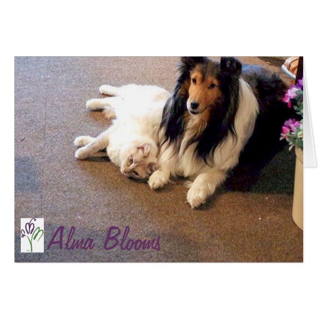 フレンド (正面横)