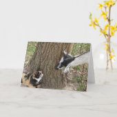 フレンド カード (黄色い花)