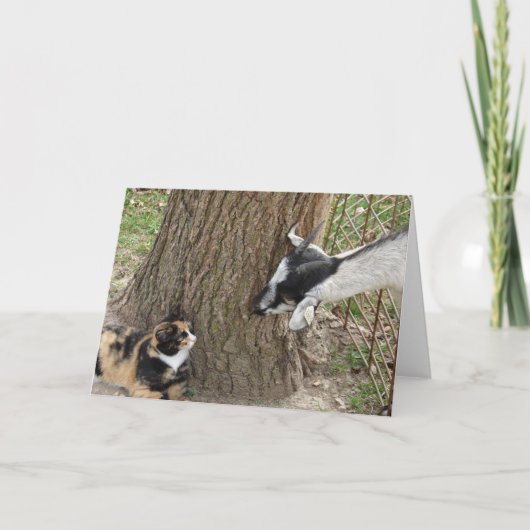 フレンド カード (正面)