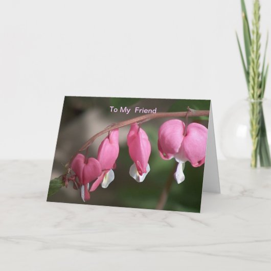 フレンド カード (正面)