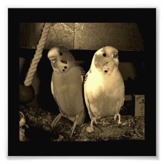 フレンド フォトプリント            (正面)