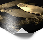 フレンド フォトプリント            (角)