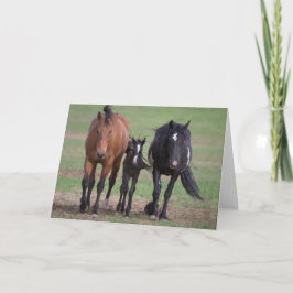 フレンド-フリーダムグリーティングカードに駆け寄る カード