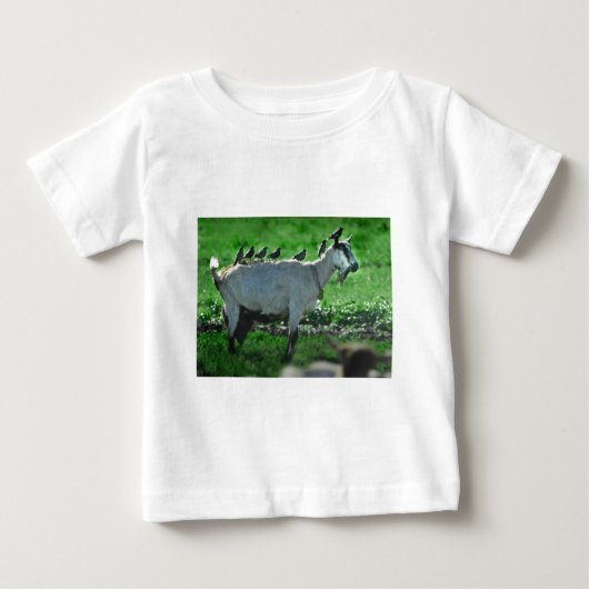 フレンド ベビーTシャツ (正面)
