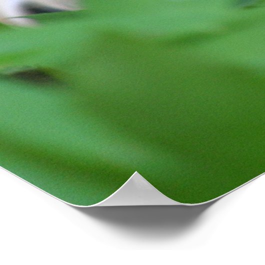 フレンド ポスター (角)