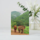 フレンド ポストカード (スタンド正面)