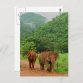 フレンド ポストカード (正面/裏面)