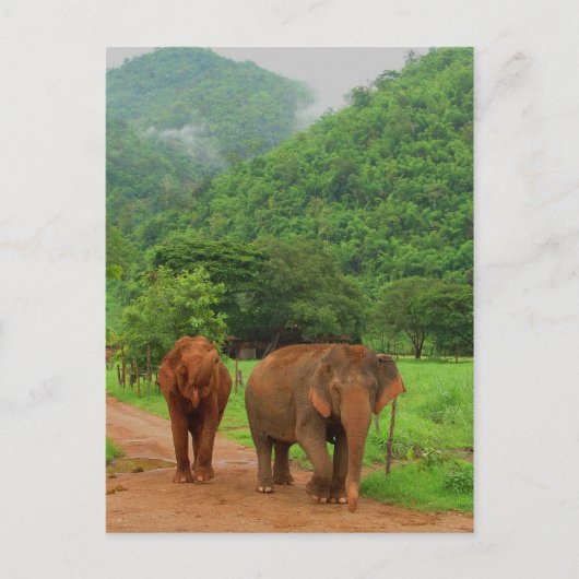 フレンド ポストカード (正面)