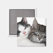 フレンド マグネット (正面/裏面)