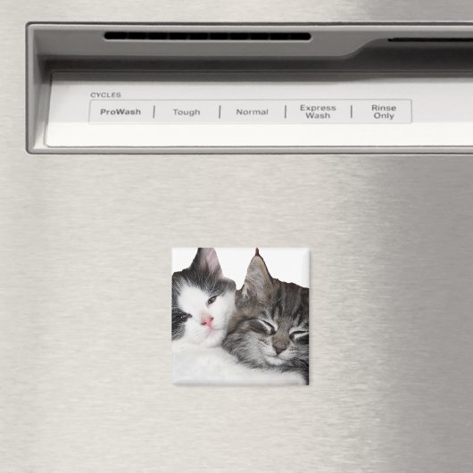 フレンド マグネット (インサイチュ (食洗機))