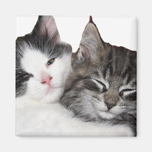 フレンド マグネット (正面)