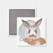 フレンド マグネット (正面/裏面)