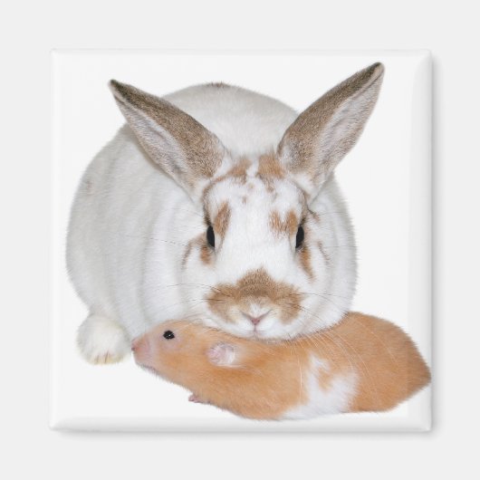 フレンド マグネット (正面)