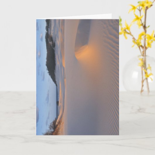 フレーザー島 カード (黄色い花)