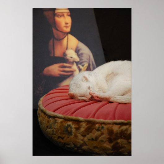 フレーシュルカッシンバラII ポスター (正面)