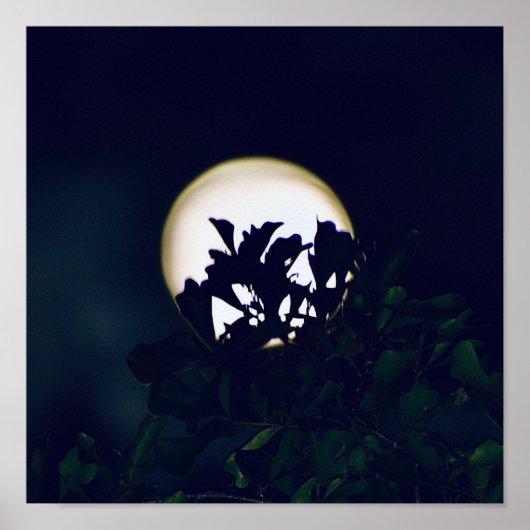 フレーミングの満月撮影ポスタープリント ポスター (正面)
