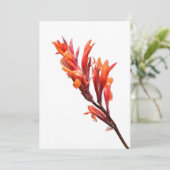 フレーミングカンナ 案内状 (スタンド正面)