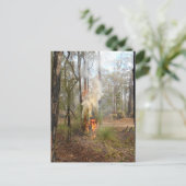 フレーミンググラスツリーホリデーカード シーズンポストカード (スタンド正面)