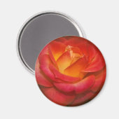 フレーミングバラオンパーチメント マグネット (正面/裏面)