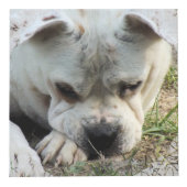 フレーミングレースのよう付きフォトキューブ – HAMbWG フォトキューブ (右)