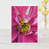 フレームには何が入っていますか？第4位 カード (黄色い花)