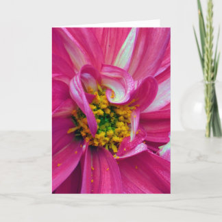 フレームには何が入っていますか?第4位 カード