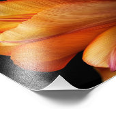 フレームオブグレースゴールデンチューリップイン開花 フォトプリント            (角)