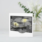 フレームフラットカードの向こうの開花 (スタンド正面)